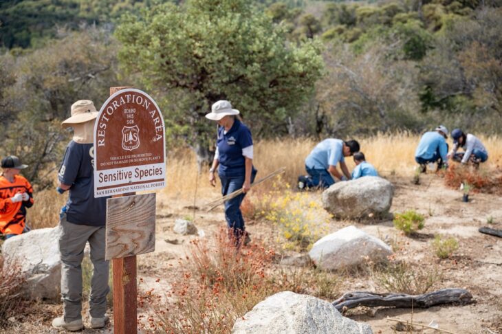 Yamaha OAI Southern California Mountains Foundation Restoration Project