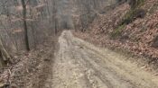 Bat Nest Road Open