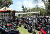 Born-Free Motorcycle Show