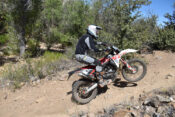 2025 Fantic XEF250 TL action