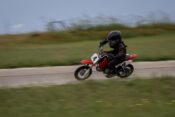 Ronan Akrop Stock 50