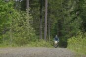 Off-Road Rider