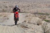 desert rider